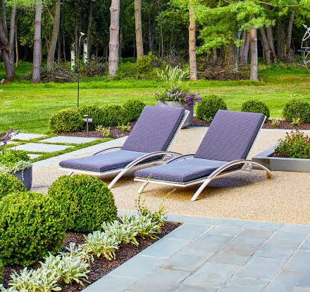 How to Winterize Your Garden: A Complete Step-by-Step Guide